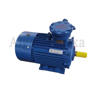 DZ Motor 