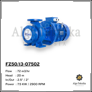 Pompa Air FZ50/13-07502 - Flugo Centrifugal Pump